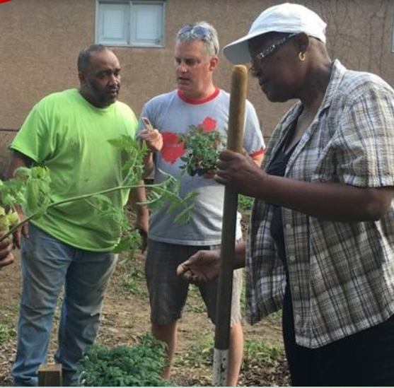 TImothy McDermott with two other individuals in a garden.